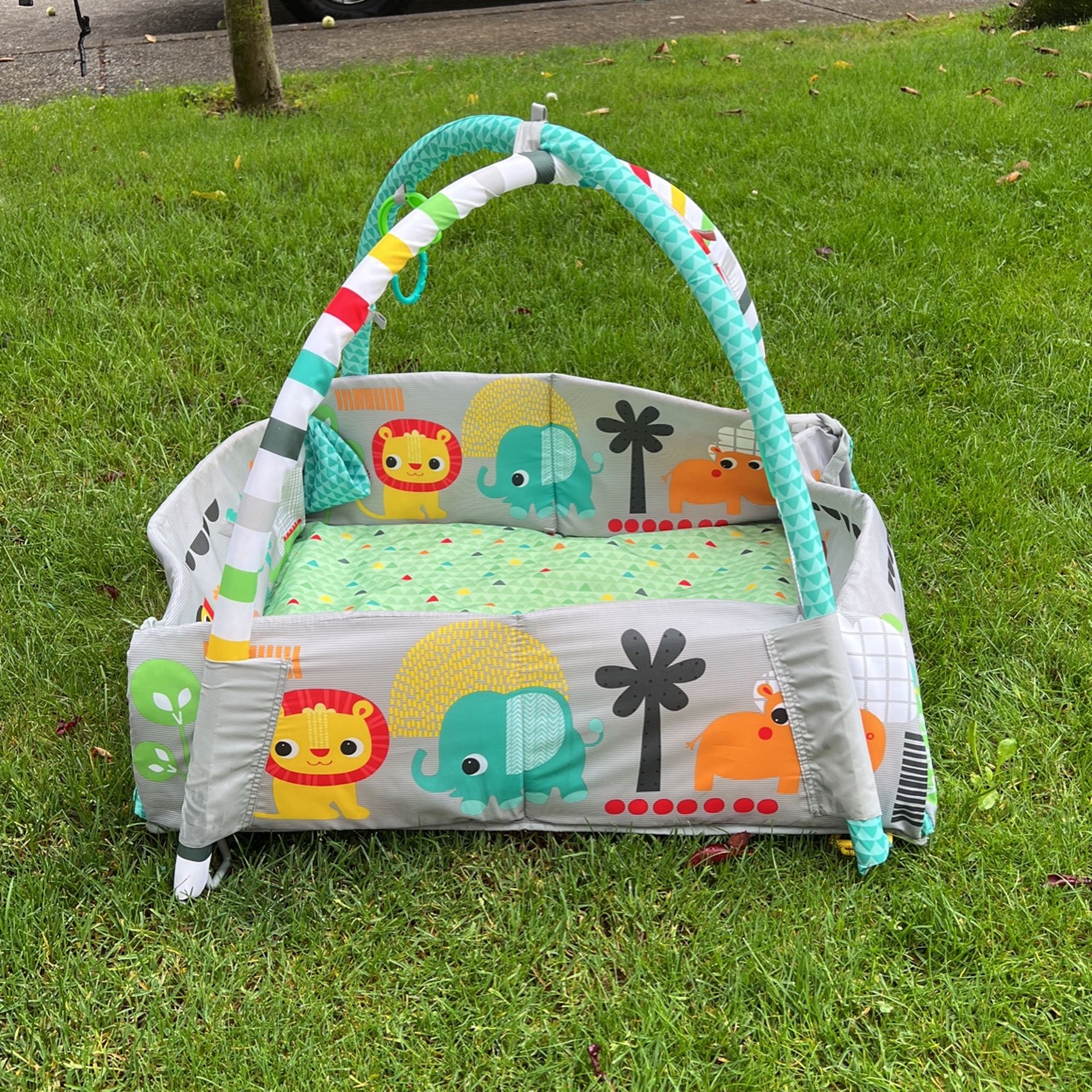 Infant Park Pen