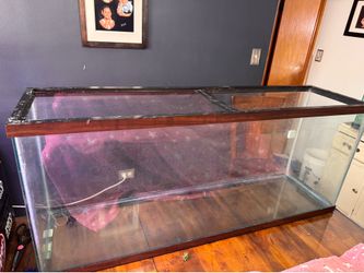 P/U TODAY for $30 - 55 Gallon Tank Aquarium