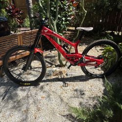 2019 YT Tues Large Frame 