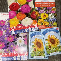 Flower Growing Seeds