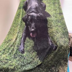 Large  Comfy Blanket For Your Dog