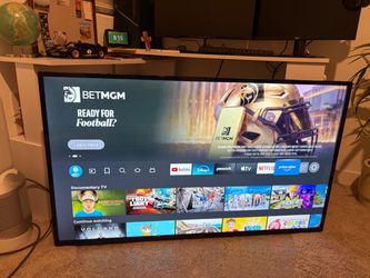 50 inch Insignia TV and mount