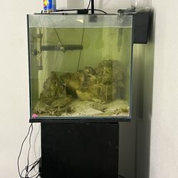 60 Gallon Cube Tank 