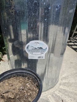 100 Lb Pet/poultry/duck Feed Container. Galvanized Steel (31 Gallon )