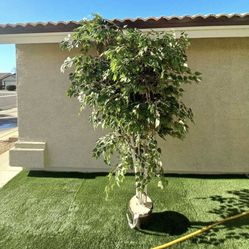 8ft Tall Artificial Tree . Sturdy  Obo