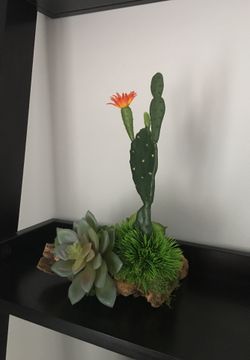 Driftwood Cactus Succulent home decor