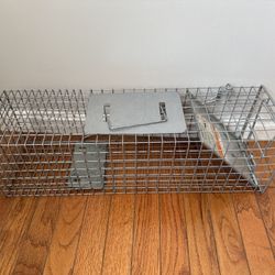 Squirrel And Rat Trap