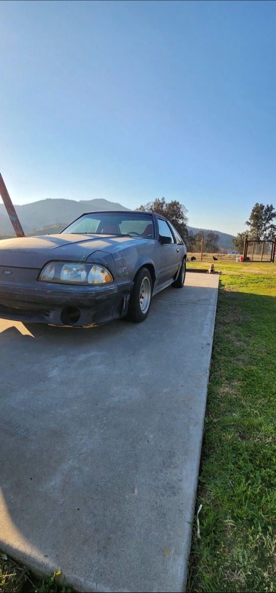 5.0 Mustang V8