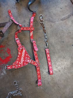 Harness