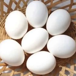 Farm Fresh Free Range Eggs 
