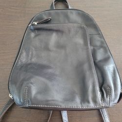 Leather Purse/Backpack