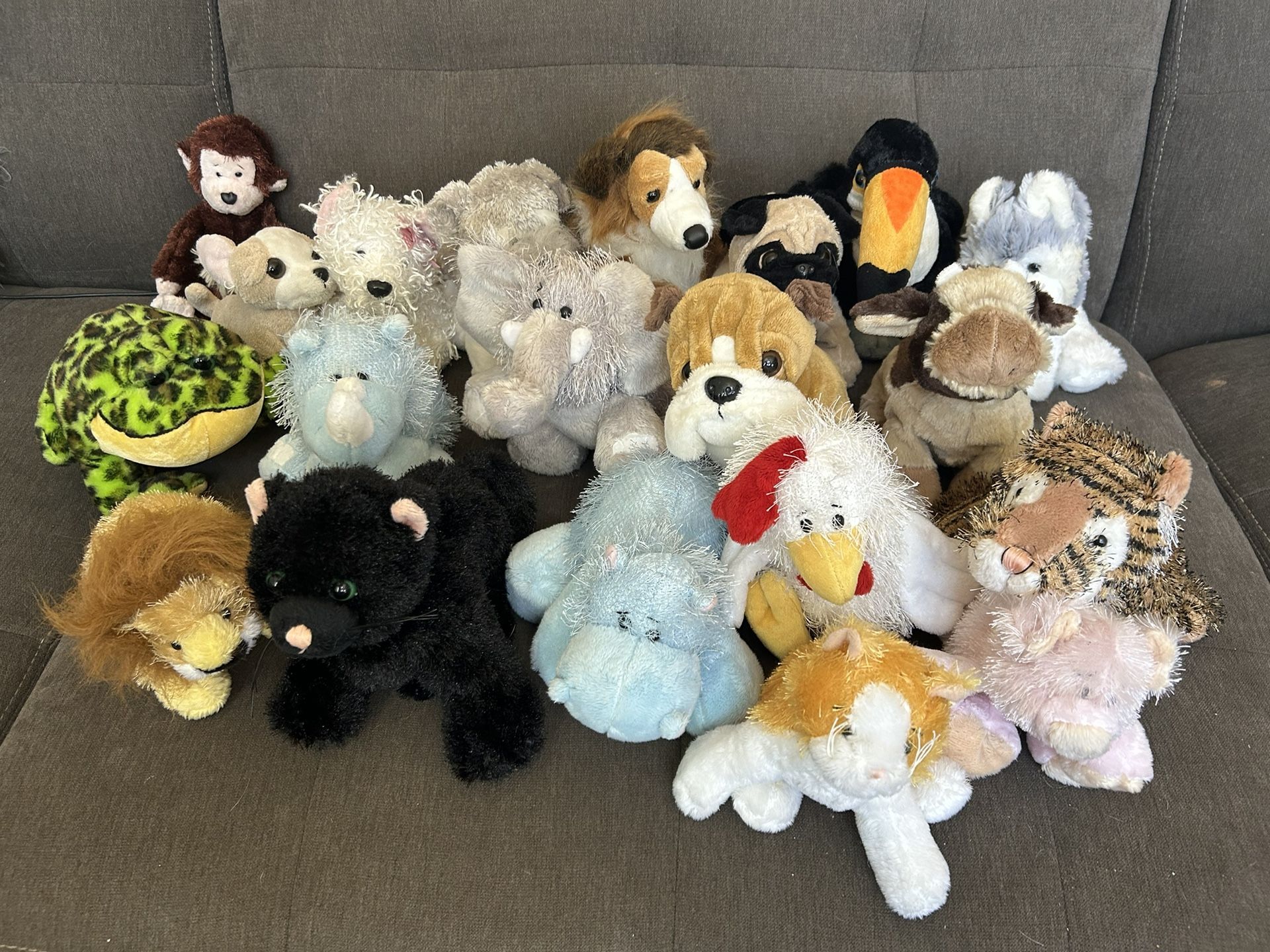 Webkinz!