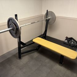 Hammer Strength Bench – Full Setup | $500