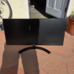 Computer Monitor