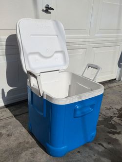 Igloo cooler $30