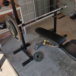Olympic Barbell And Olympic Weight Plates Only