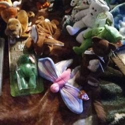 Collection Of Beanie Babies 