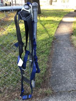 Harness