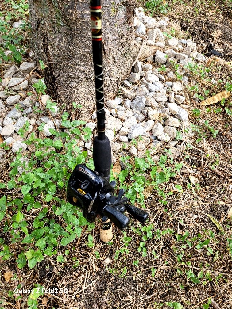 Fishing Rod And Reel