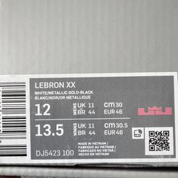Size 12 LeBron Xx “The Debut”