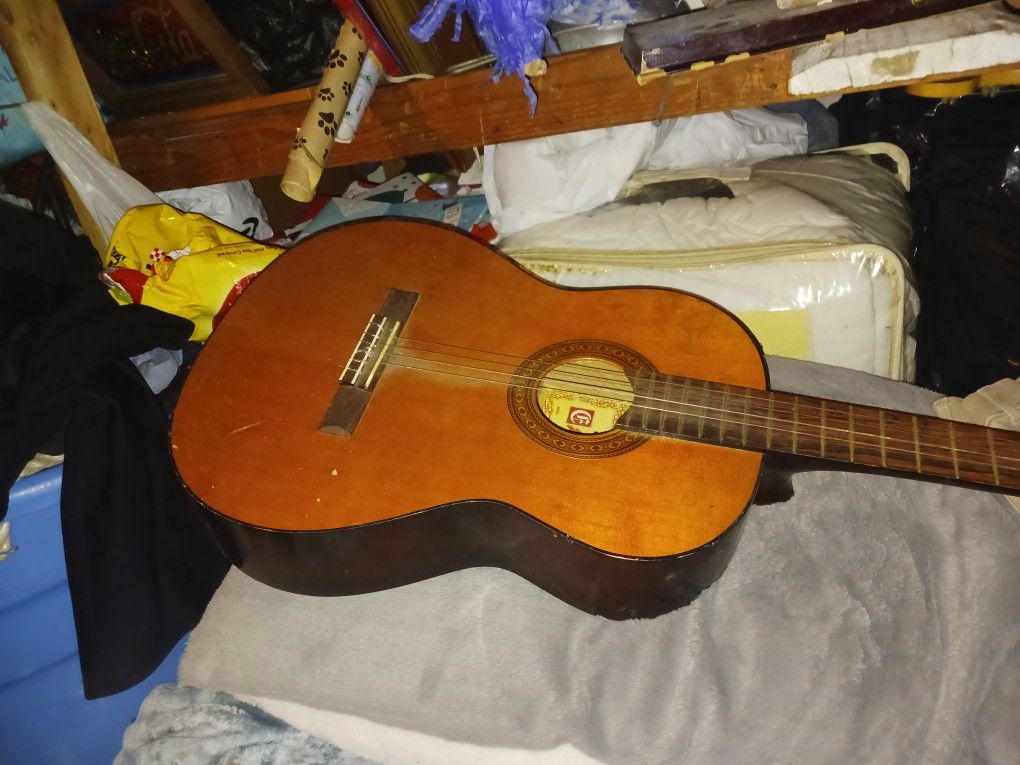 Guitar