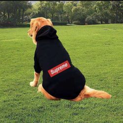 Dog clothes
