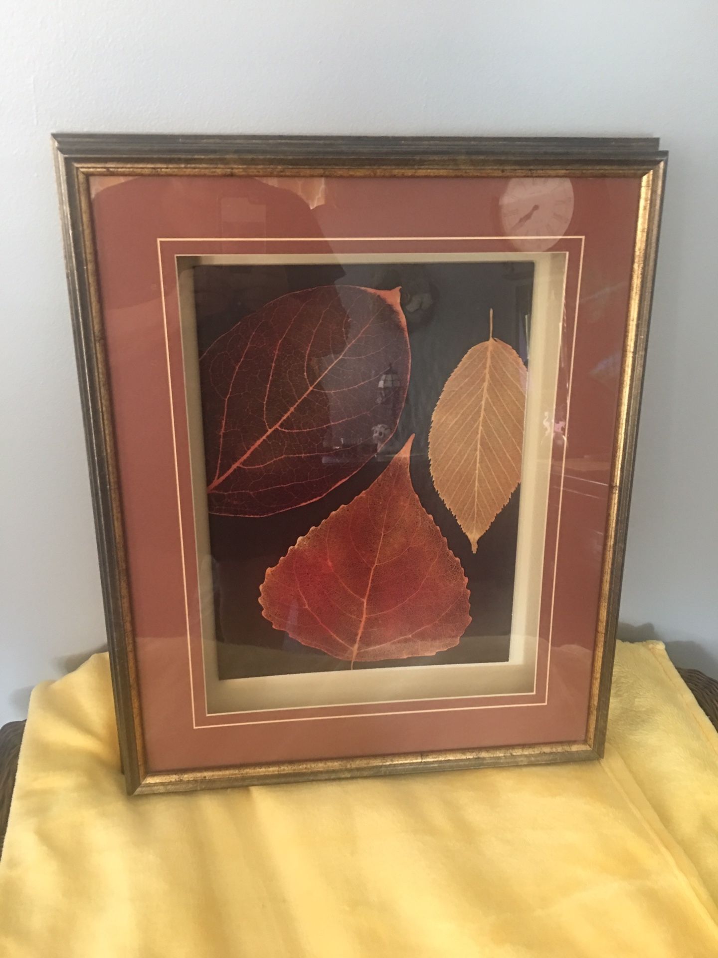 Shadow box picture fall colors behind glass 24”Tx19”Wx31/2”D