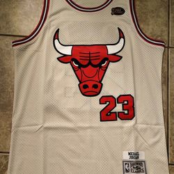 Michael Jordan Bulls Jersey 