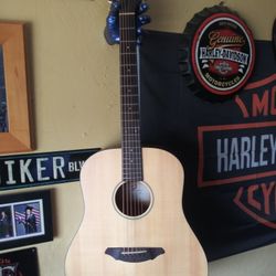 Breedlove Acoustic Guitar
