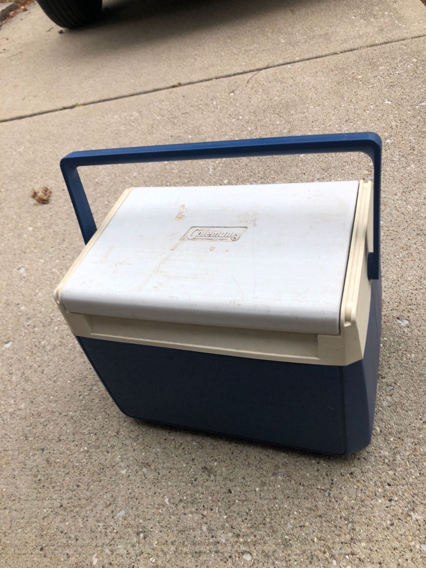 Small Blue cooler