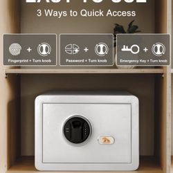 Brand New Fingerprint Safe Box Tigerking Safety Box