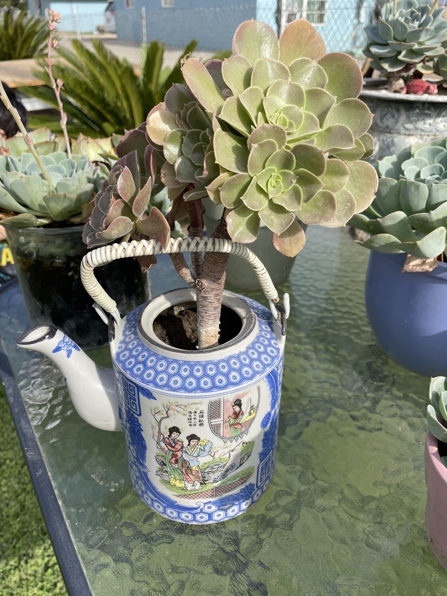 Vintage Yamayo Japanese Blue N White Teapot W Succulent