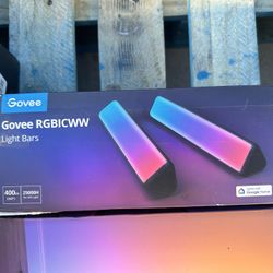 Govee Lights 