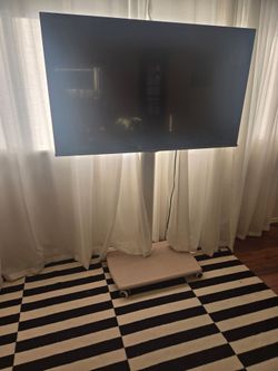 Hisense 50" TV with heavy duty stand on wheels