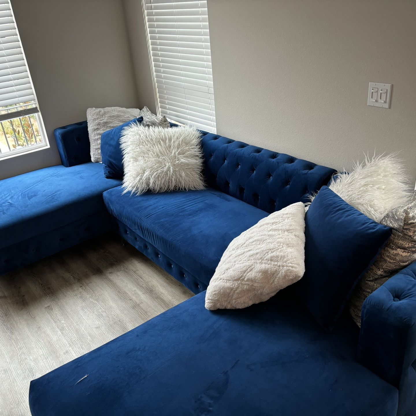 Modern Luxury Couch