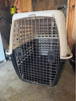 Large dog kennel