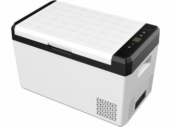 Electric Car Cooler