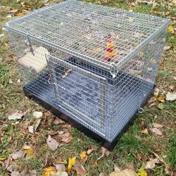 Chinchilla Travel Cage