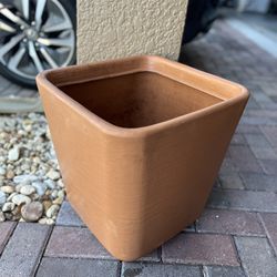 Plant 🪴 Pot
