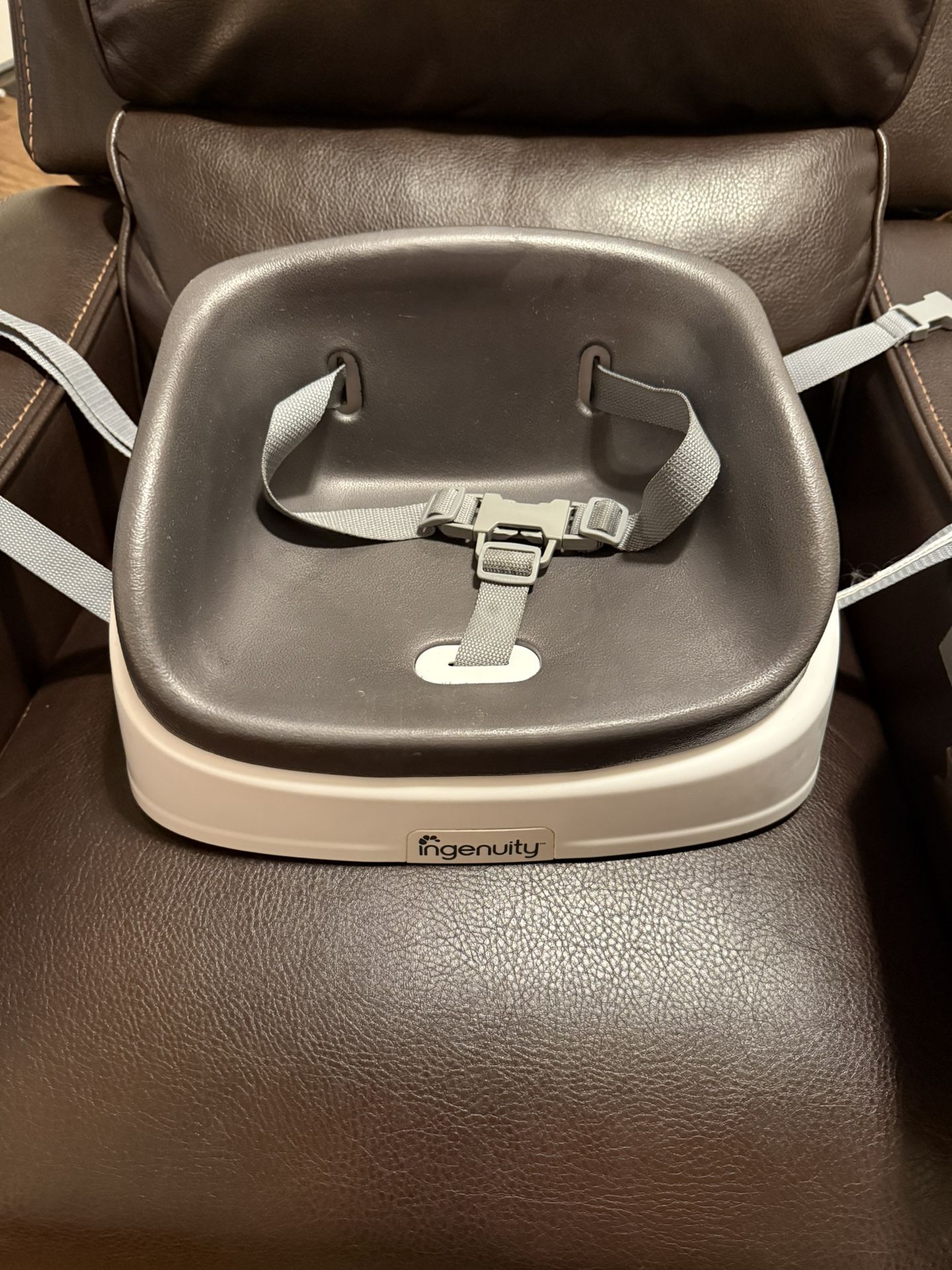 Ingenuity Booster Seat