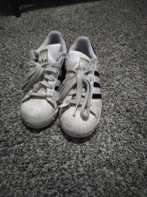 Superstars /Adidas/white