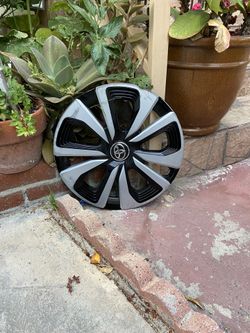 Size 15”