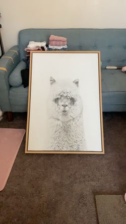 Giant Alpaca Canvas Print 