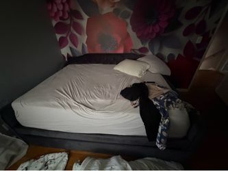 Queen Bed and Mattress FREE
