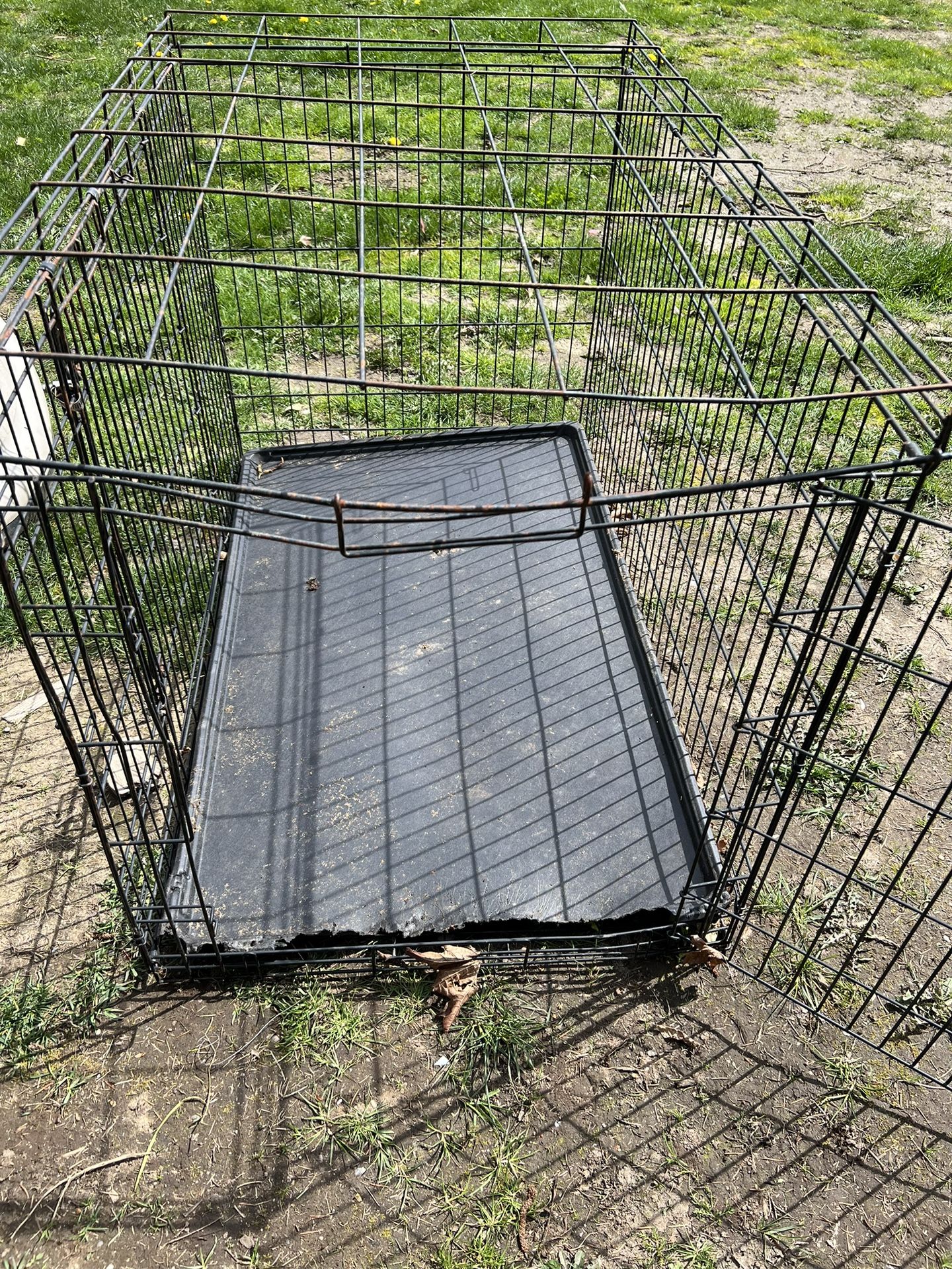 Dog Crate (Large)
