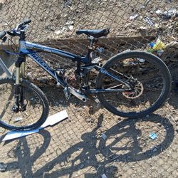 Trek Remedy Evo 2