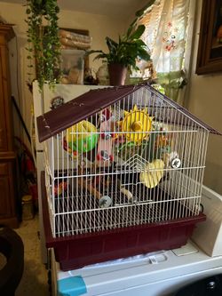 Huge Bird Cage Everything Included!!!