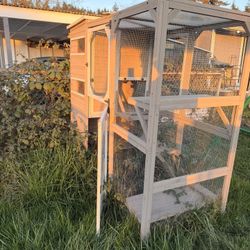 Catio
