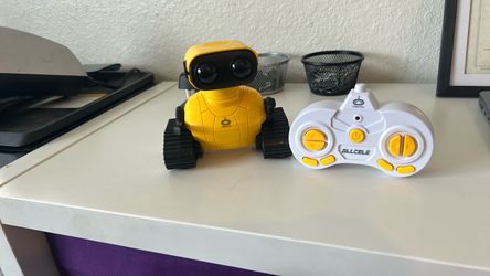 Remote control robot