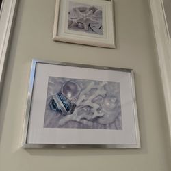 Coastal Sea Shell Framed Picture - Set of 2